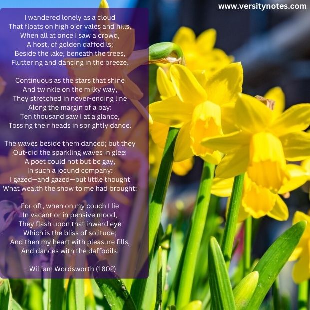 Daffodils poem picture and poem